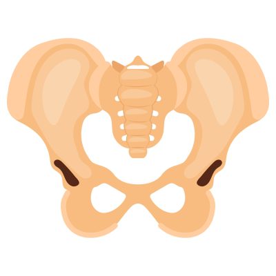 Subluxation 2 Subluxation